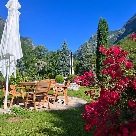 Vila Alexander B&B Valbone Dış mekan fotoğraf