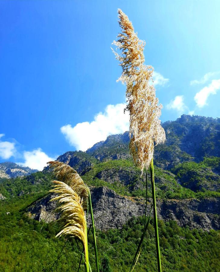 Vila Alexander B&B Valbone Dış mekan fotoğraf