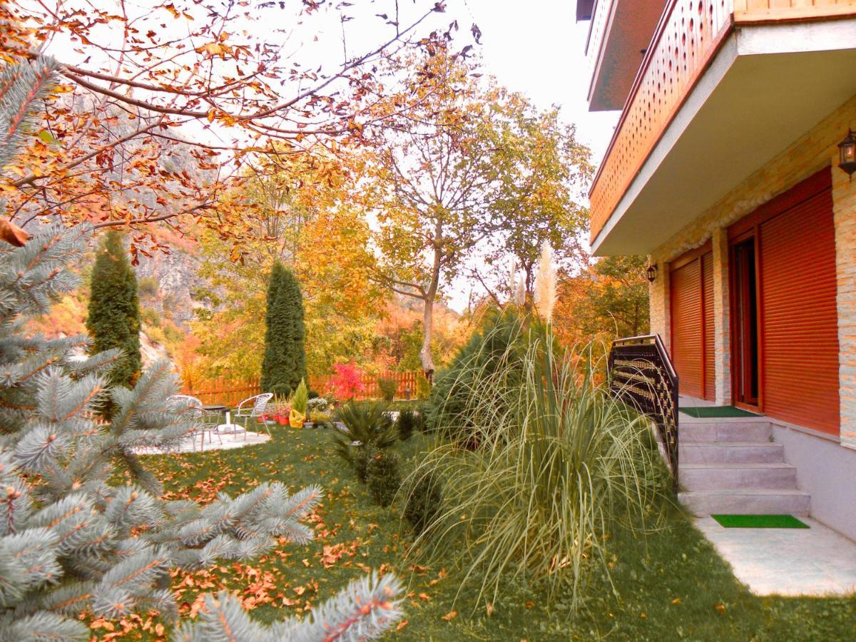 Vila Alexander B&B Valbone Dış mekan fotoğraf