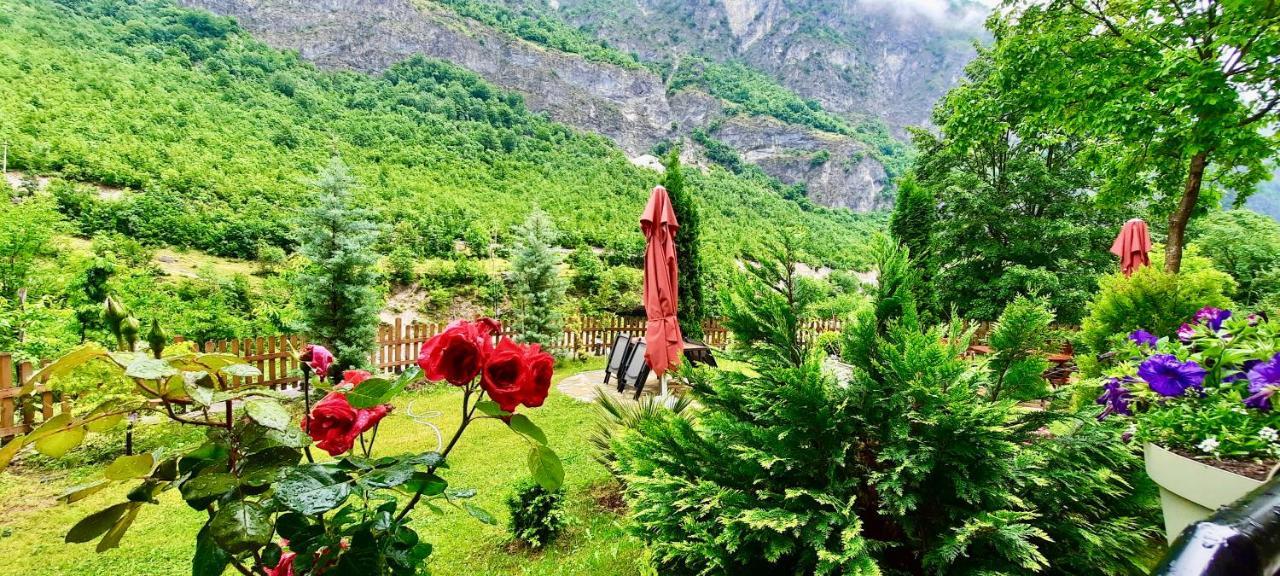 Vila Alexander B&B Valbone Dış mekan fotoğraf
