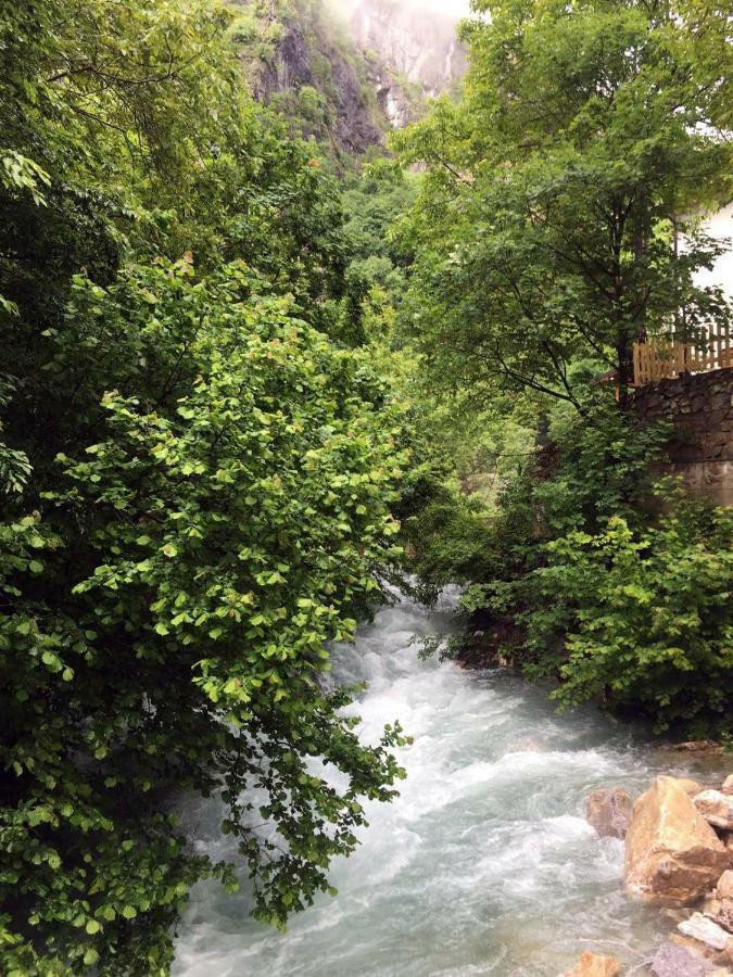Vila Alexander B&B Valbone Dış mekan fotoğraf