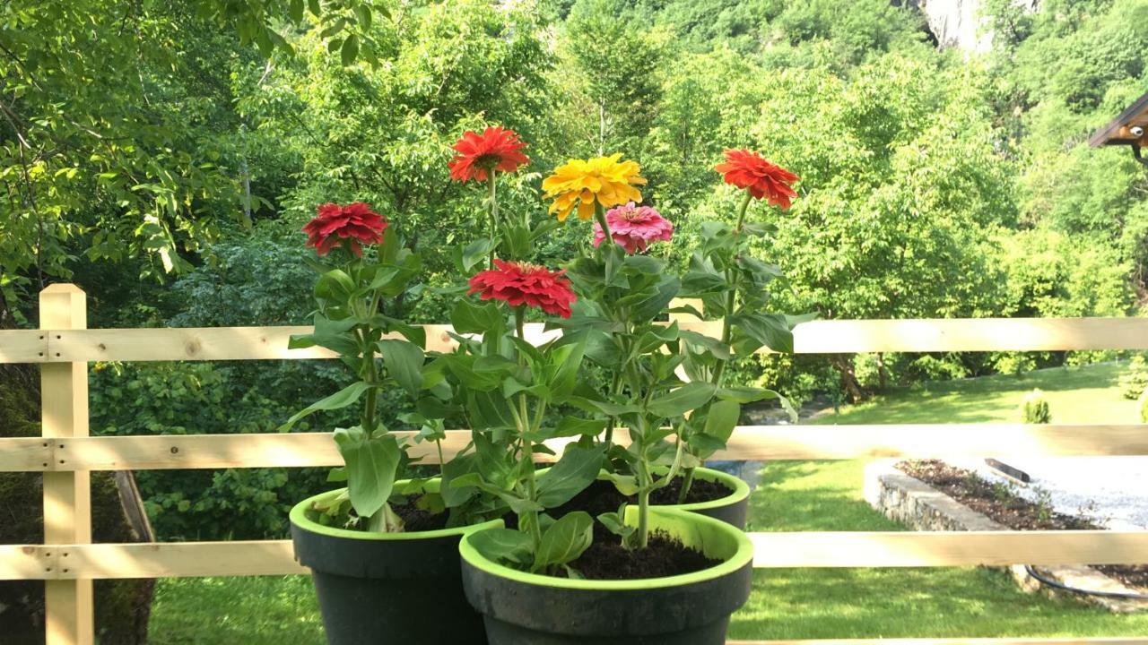 Vila Alexander B&B Valbone Dış mekan fotoğraf